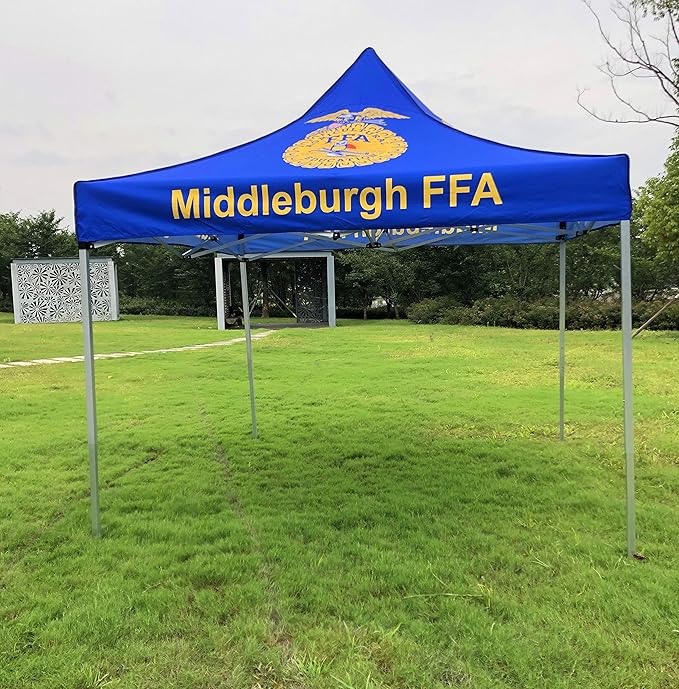 Custom Canopy 10x10 with Logo, Custom Pop up Tent for Trade Show, Personalized Canopy Tent for Advertising Event, Farmer Market, Business Branding, Customized Canopy Heavy Duty